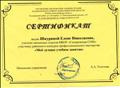 Сертификат за участие в районном конкурсе "Моё лучшее учебное занятие" 2019 г