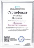 Сертификат за участие в пед.тестировании по теме "Методические аспекты написания сочинения". 2018 г